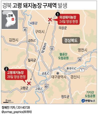 <그래픽> 경북 고령 돼지농장 구제역 발생