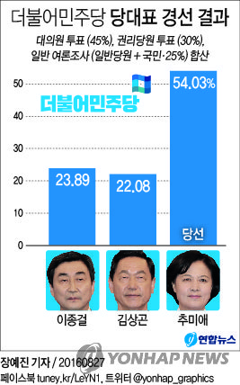 '대구의 딸·호남 며느리' 秋다르크, 제1야당 '중심추'로 - 1