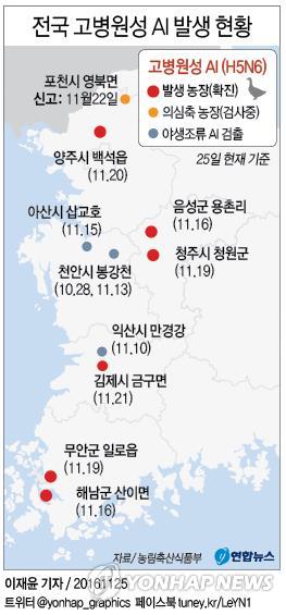 전북 김제 고병원성 AI 확진…발생지역 6곳 늘어 - 3