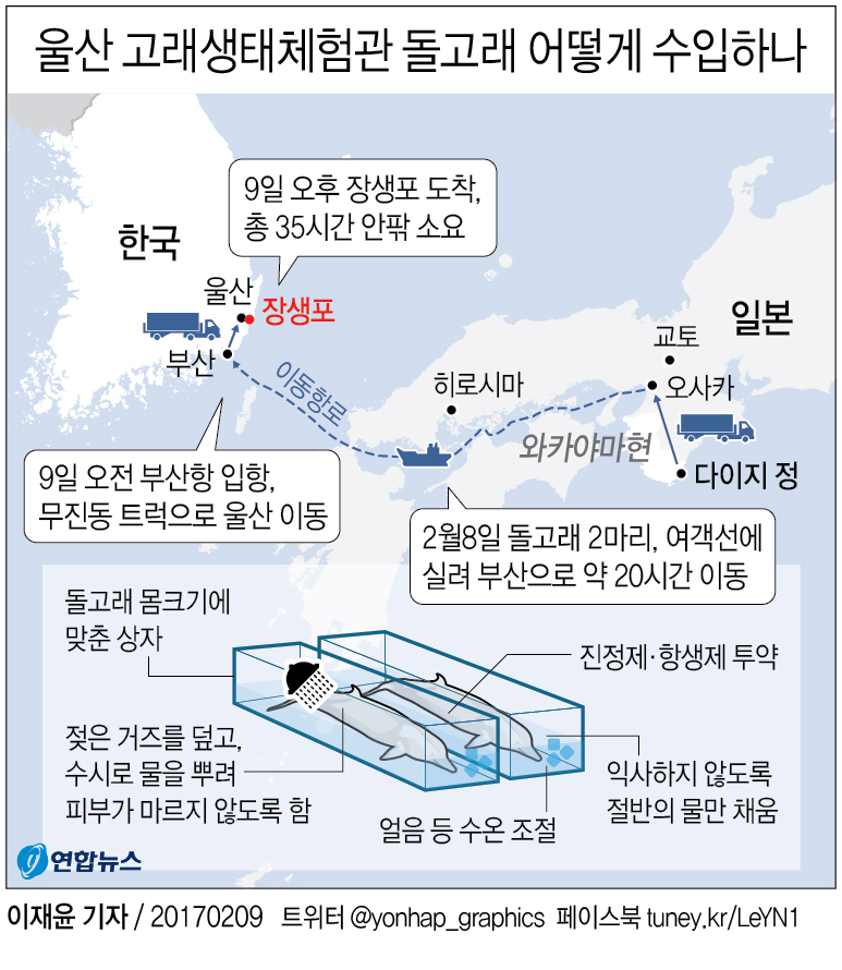 '동물학대' 논란·반발에도 울산남구 돌고래 수입 강행(종합) - 1