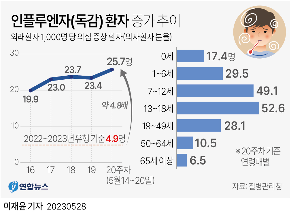 그래픽 인플루엔자 독감 환자 증가 추이 연합뉴스