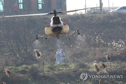 Officials of South Korea's agriculture ministry steer an unmanned chopper on Nov. 26, 2020, to disinfect wintering sites for migratory birds in Cheongju, 137 kilometers south of Seoul, as part of efforts to curb the spread of bird flu. (Yonhap)