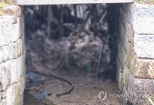 This file photo, taken July 27, 2020, shows a drain in the northern part of Ganghwa Island, around 50 km west of Seoul, which may have been used by a North Korean defector to return to his home country as it leads to the waters bordering the North. The military said a bag belonging to the 24-year-old, 163-centimeter-tall man was found near the drain. Authorities speculated that the defector swam to North Korea. (Yonhap)