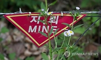 La Corée du Nord installe des mines et de nouveaux fils barbelés dans la DMZ