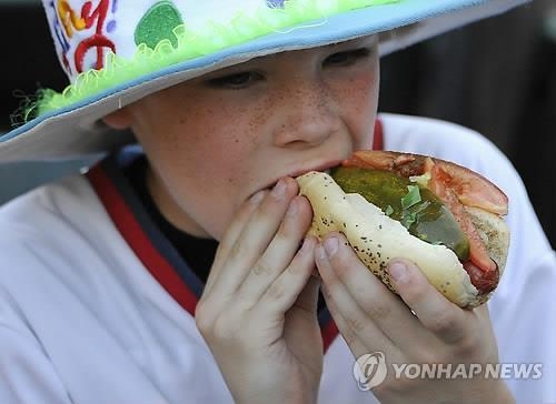 식약처, 발암물질 햄·소시지·붉은고기 위해평가한다(종합) - 3