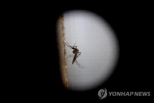 '지카 바이러스' 매개 모기 국내서 2년새 6.8배로 급증 - 4