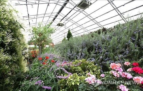 <주말 N 여행> 수도권: "복 빌고 한해 안녕 기원해요"…곳곳서 정월대보름 행사 - 4