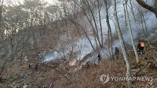 소백산 불 국립공원 삼킬 뻔…사투끝 500m 남기고 저지(종합2보) - 3