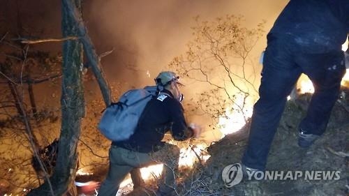 <총선 D-11> 소백산 산불나자 유세 중단, 진화현장 방문 - 2