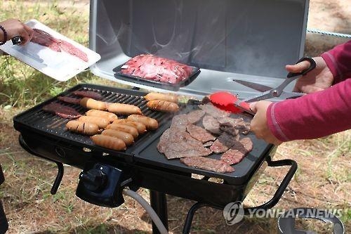 "임신 중 구운고기 먹으면 저체중아 출산 위험" - 2