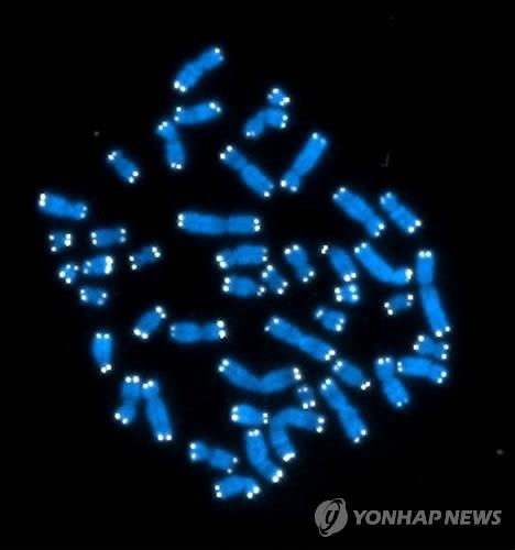 하버드대 '인조 인간게놈' 비밀회의 "10년내 전체 유전체 합성" - 2