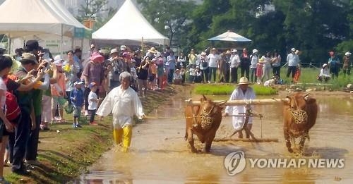 모처럼 옅어진 미세먼지…축제장·관광지 나들이 인파 넘쳤다(종합) - 3