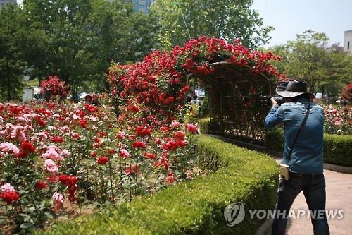 모처럼 옅어진 미세먼지…축제장·관광지 나들이 인파 넘쳤다(종합2보) - 2