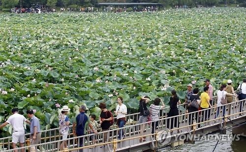 '전주 단오' 3년만에 재개…9∼10일 전주 일원서 개최 - 2