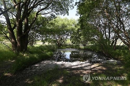 창녕 우포늪, 자연과 사람이 하나 되는 물아일체 체험 - 4