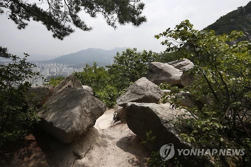 '깜깜이'현장·대조군 없는 DNA…사패산 사건 장기화 우려 - 2