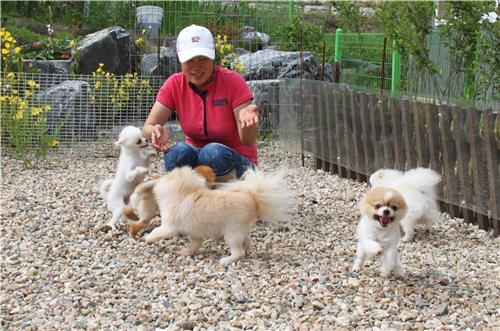 뽀송뽀송 이불 깔린 곳…사랑 넘치는 '강아지 번식장' 있다 - 2