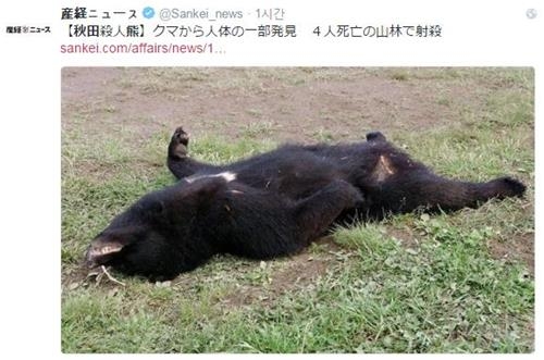 일본서 곰 습격에 4명 사망…곰 몸속에서 인체 발견 - 2