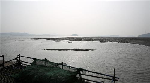 <가고 싶은 섬> 가로림만의 숨은 비경…서산 웅도 - 5