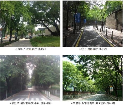 나무 그늘서 더위 피해볼까…서울 녹음길 200선 - 2