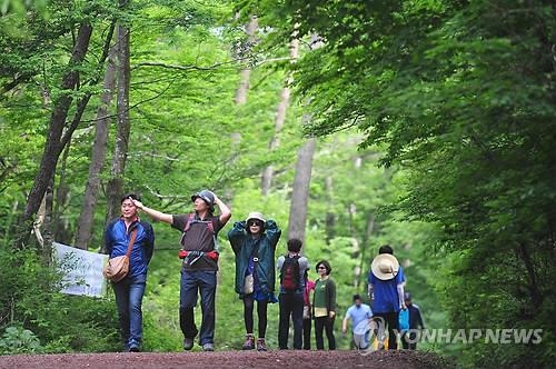 <주말 N 여행> 제주권: "옛 사랑의 추억을 팝니다" 이색 경매 - 4