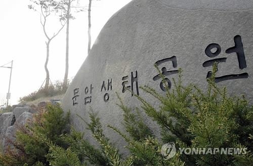"명당은 1년내내 알박기" 도심 캠핑장 점령한 유령텐트족 - 2