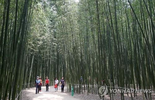 <휴가는 국내로> ⑩ '대통령 휴가지' 울산 십리대숲과 '포켓몬 성지' 간절곶 - 2