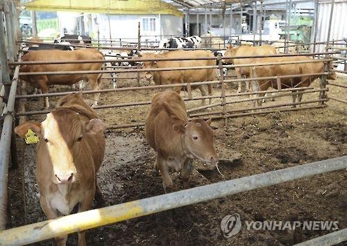 경찰 "농장주, '축사노예' 상습 폭행"…내주 사건 송치 - 2