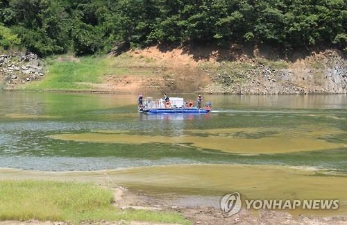 대청호 조류경보 '관심단계'…대전시 확산방지 총력 - 2