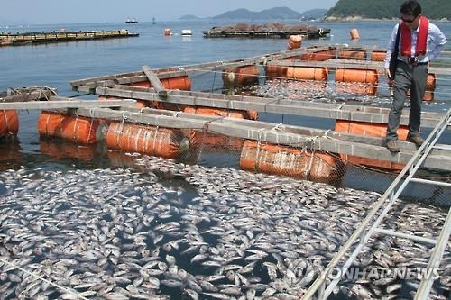 남해 폭염 어류폐사 확산…통영 이어 거제·고성도 - 2