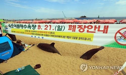 강원 해수욕장 피서객 2천477만명…작년보다 4.1% 감소 - 3