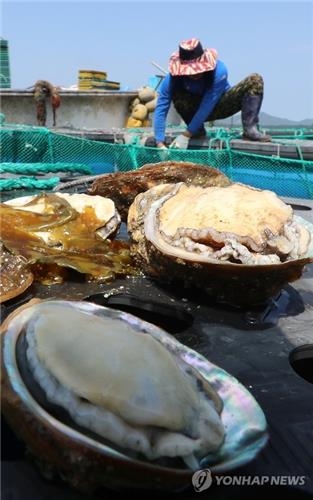 우럭·전복·넙치·돌돔…30도 뜨거운 전국바다 곳곳서 떼죽음 - 2