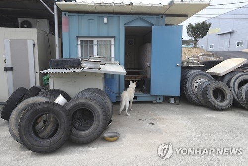 '타이어노예' 팔·갈비뼈 부러졌는데…업주 '몽둥이 폭행' 부인 - 2