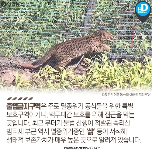 <카드뉴스> 불법 채취, 스릴 산행…가을 등산 문화의 현주소 - 6