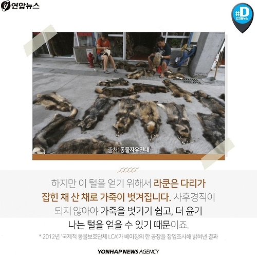 <카드뉴스> 우리가 따뜻해질수록 동물들은 웁니다 - 5