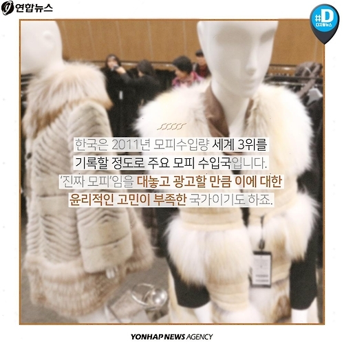 <카드뉴스> 우리가 따뜻해질수록 동물들은 웁니다 - 12
