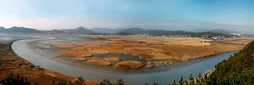 순천만 전경