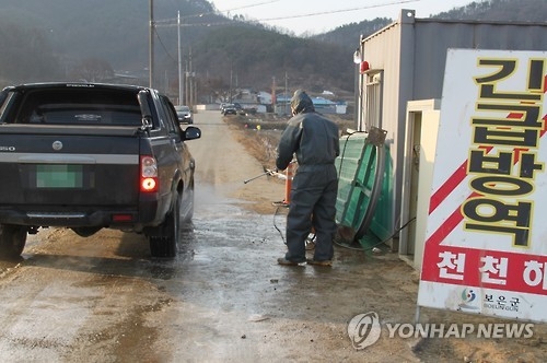 구제역 농장 항체형성률 고작 19%…방역당국 그동안 뭐했나(종합) - 1