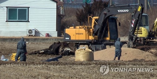 보은 구제역 살처분 현장