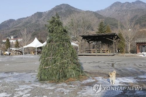 25년 역사 원주 회촌달맞이축제 갑자기 취소한 까닭은 - 1