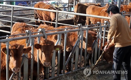 구제역 4건발생 충북 방역강화…19일까지 우제류 반출금지 - 1