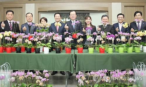 '책상에 화분을…' 농협 대구지역본부
