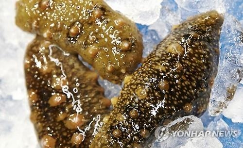 부안군 해삼 대량양식 나선다…6차 산업화 추진 - 1