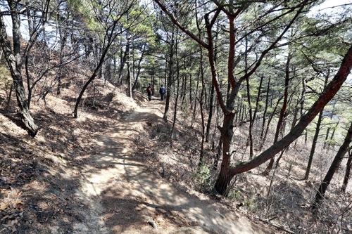 어린 시절 시골에서 흔히 만날 수 있었던 호젓한 숲길