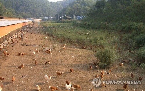 동물복지 농장