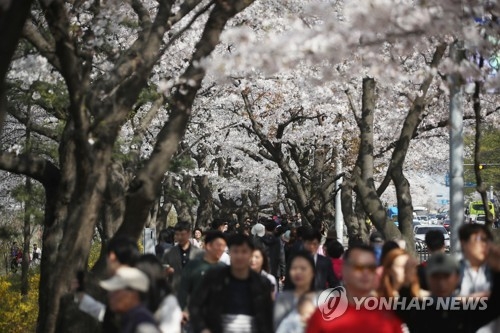 "나들이하기 좋아요"…충북 맑고 따뜻 - 1