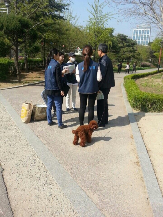 귀여운 우리 개 이웃에겐 '맹수'…목줄 안 차면 과태료 10만원 - 1