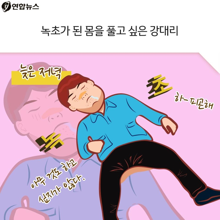 [카드툰] 잠들지 못하는 '호모나이트쿠스' - 대한민국 심심한 역사 - 3