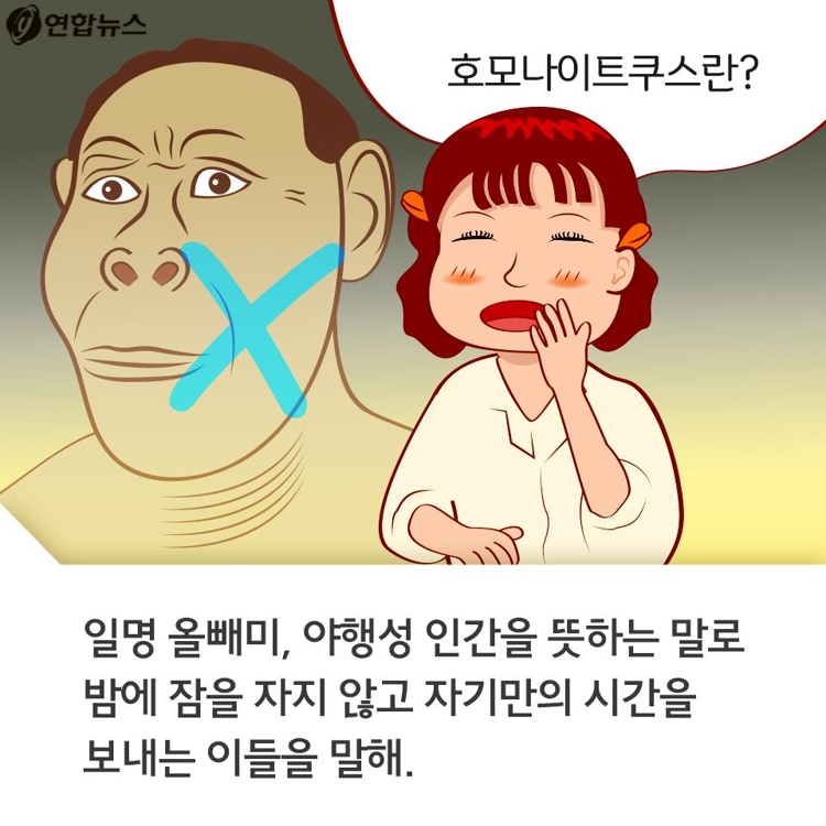 [카드툰] 잠들지 못하는 '호모나이트쿠스' - 대한민국 심심한 역사 - 12