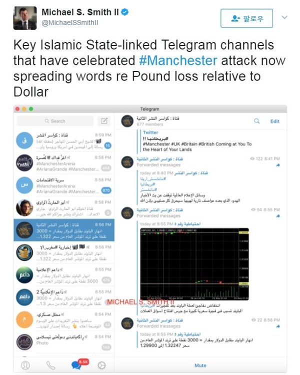 전문가가 분석한 테러 공격 축하 텔레그램 메시지 화면